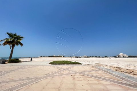 1262m² Land in Nareel Island, UAE No. 91072 7