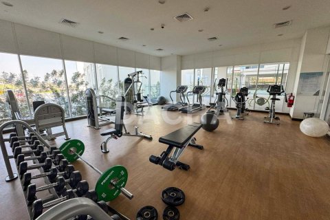 Appartement de 2 chambres à Sobha Hartland, UAE No. 155609 11