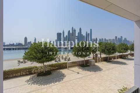 Townhouse de 3 dormitorios en Dubai Harbour, UAE No. 163194 8
