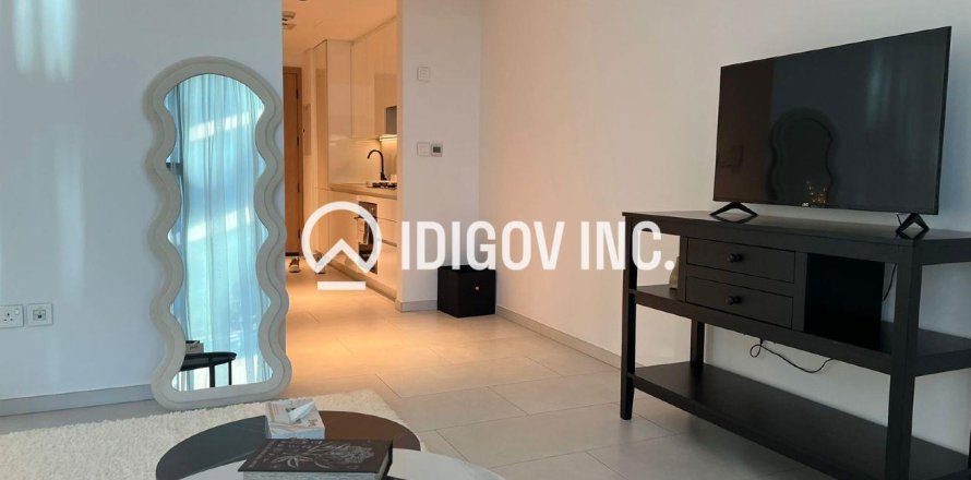 Studio Apartment in Business Bay, UAE No. 136327