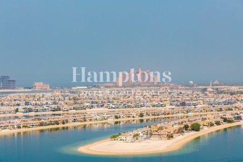 Appartement de 1 chambre à Dubai Harbour, UAE No. 162900 4