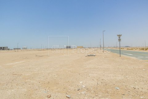 743.2مربع، قطعة أرض في دبي, الإمارات العربية المتحدة رقم 83527 2