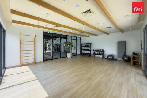 Appartement de 1 chambre No. 127258 17