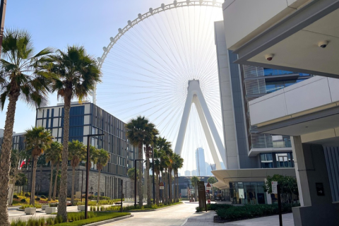 3 bedrooms Apartment in Dubai Marina, UAE No. 183462 14