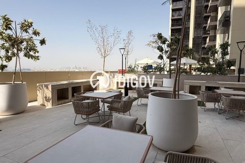 Appartement de Studio à District 16, UAE No. 184544 17