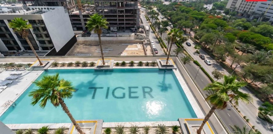 Studio Apartment in Dubai, UAE No. 169549