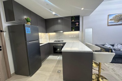 Apartment de 2 dormitorios en Al Furjan, UAE No. 135832 11