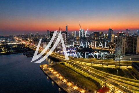 2 bedrooms Apartment in Al Reem Island, UAE No. 185603