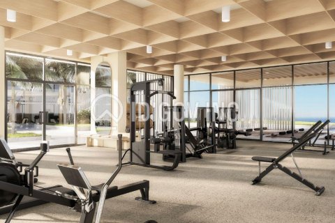 1 bedroom Apartment  No. 118158 13