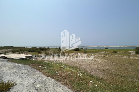 Земельный участок 2972.3м² в Shamal Julphar, ОАЭ №88259 7