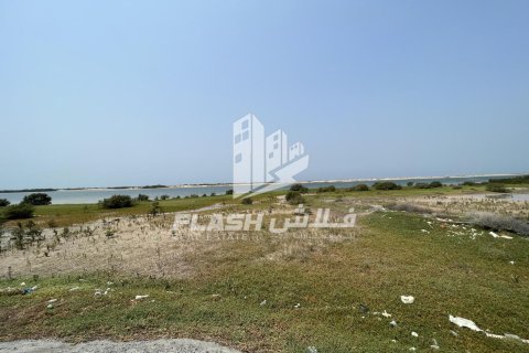 Земельный участок 2972.3м² в Shamal Julphar, ОАЭ №88259 6