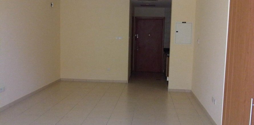 Studio Apartment in Dubai, UAE No. 169884