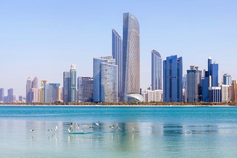1 bedroom Apartment on the Yas Island, UAE No. 202446 12