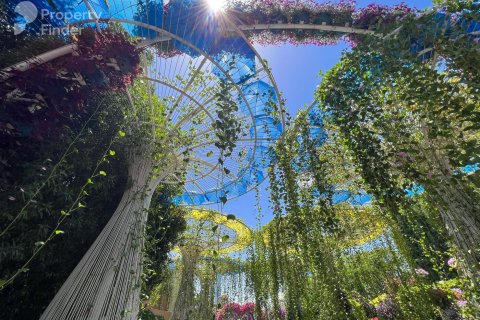 1 bedroom Apartment No. 127841 5