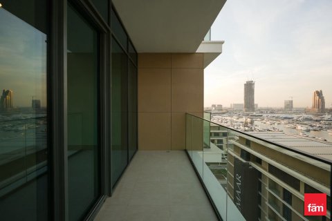 3 bedrooms Apartment in Mina Rashid, UAE No. 166212 12