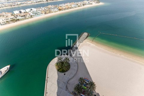 3 bedrooms Apartment in Tiara Residences, UAE No. 192121 19