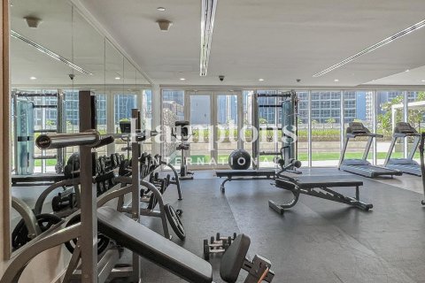 1 bedroom Apartment in Marasi Business Bay, UAE No. 156528 13