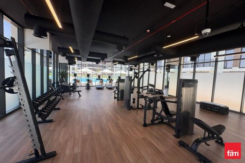 2 bedrooms Apartment in Town Square, UAE No. 166224 6