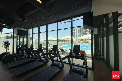 2 bedrooms Apartment in Town Square, UAE No. 166224 13