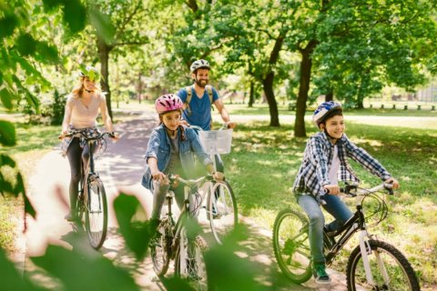 2 bedrooms Apartment  No. 117854 6