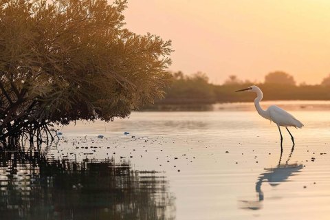 Townhouse de 4 dormitorios No. 124484 9