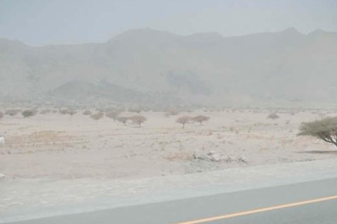 Земельный участок 9290м²  №124485 6