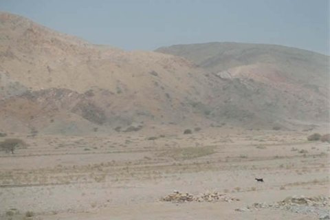 Земельный участок 9290м²  №124485 13