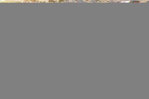 3 bedrooms Apartment in Ras Al Khaimah, UAE No. 184196 9