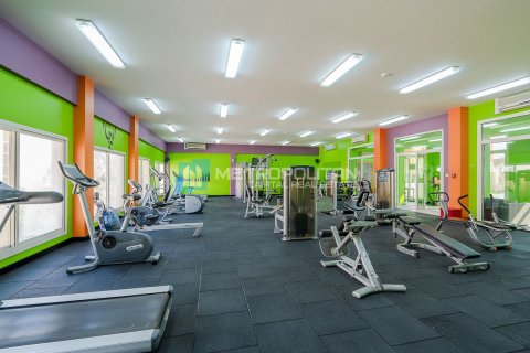 Villa de 11 dormitorios No. 127095 9