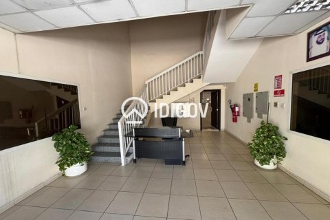 Склад 6131.6м² в Джабаль-Али, ОАЭ №185278 7