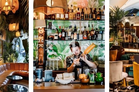 799.6مربع، مصنع  رقم 104312 9