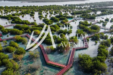 Land de 623.94m² en Al Hudayriat Island, UAE No. 185478 3