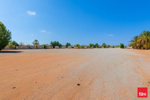 Land de 930.3m² en Al Wasl, UAE No. 135764 9