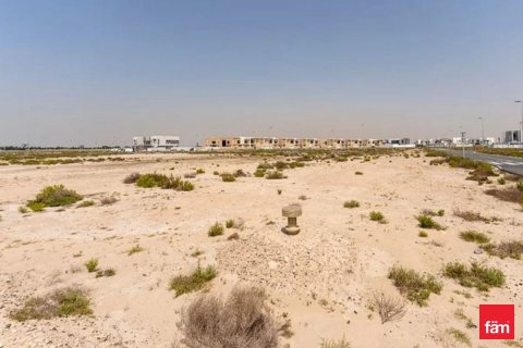 1014m² Land  No. 117655 5