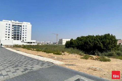 1014m² Land  No. 117655 3