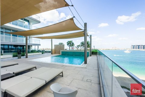 Appartement de 1 chambre à Dubai Harbour, UAE No. 147704 23