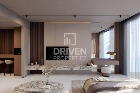 استوديو شقة في District 15, الإمارات العربية المتحدة رقم 209773 11