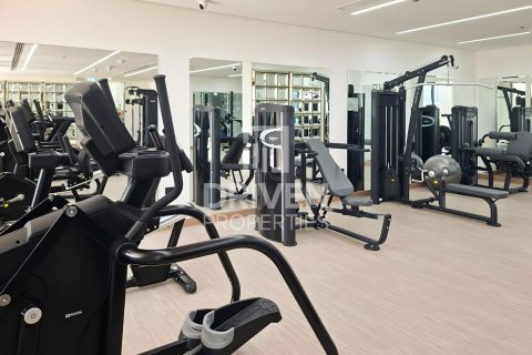 Studio Apartment in Majan, UAE No. 204085 14