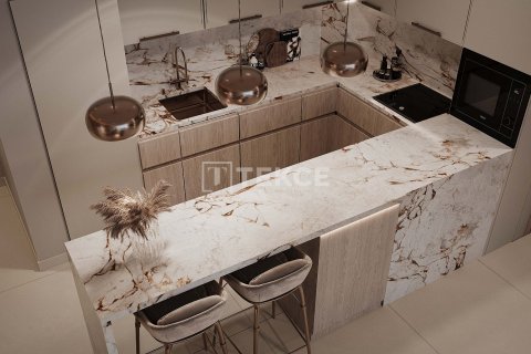 Studio Apartment in Al Wasl, UAE No. 172205 21