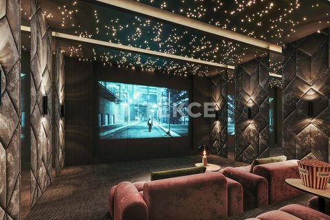 Studio Apartment in Al Wasl, UAE No. 172205 11