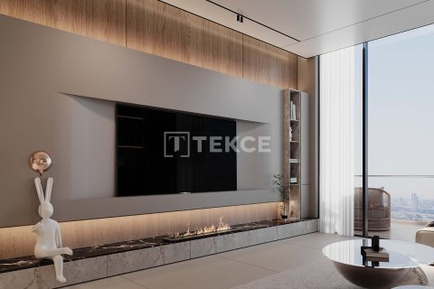 Studio Apartment in Al Wasl, UAE No. 172205 17