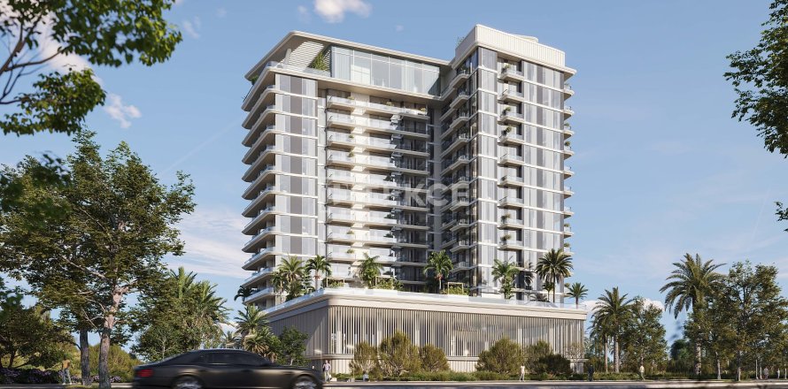 Studio Apartment in Al Wasl, UAE No. 172205