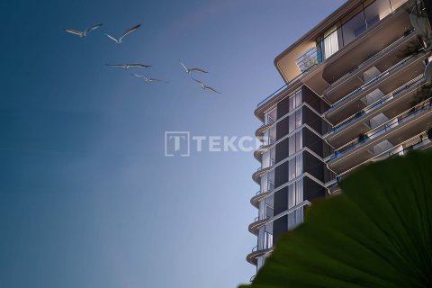1 bedroom Apartment in Al Wasl, UAE No. 172206 3