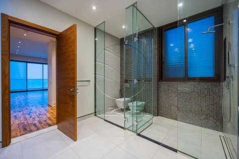 Villa de 5 dormitorios en  Saadiyat Island, UAE No. 91205 5