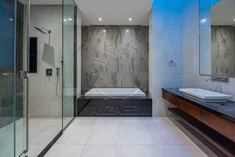 Villa de 5 dormitorios en  Saadiyat Island, UAE No. 91205 3