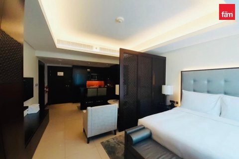48.2m² Apartment in Downtown Dubai (Downtown Burj Dubai), UAE No. 169069 7