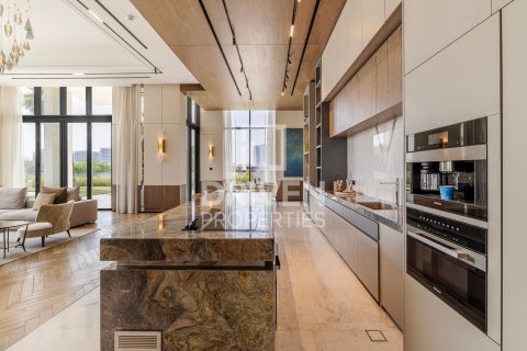 3502.17m² Villa in Dubai Hills View, UAE No. 203972 9
