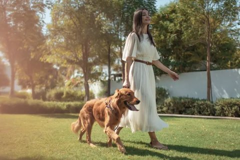 Таунхаус с 4 спальнями в Дубай, ОАЭ №143603 10