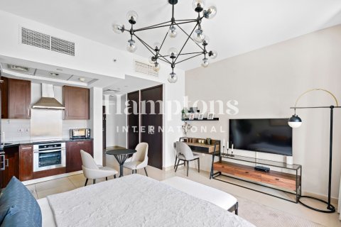 Studio Apartment in Downtown Dubai (Downtown Burj Dubai), UAE No. 151188 3