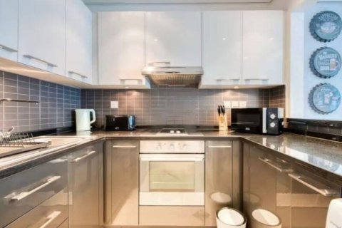48مربع، شقة في Silverene, الإمارات العربية المتحدة رقم 165660 5